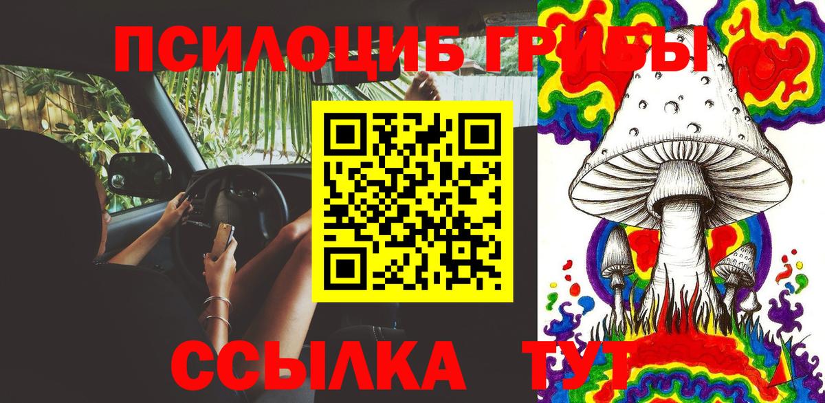 Псилоцибиновые грибы Cubensis Светлоград