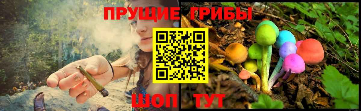 Псилоцибиновые грибы Psilocybine cubensis  Вход с VPN  Светлоград  Галлюциногенные грибы Cubensis 